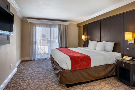 Comfort Suites San Clemente - Guestroom