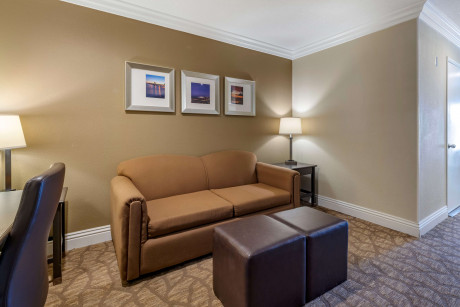 Comfort Suites San Clemente - Guestroom